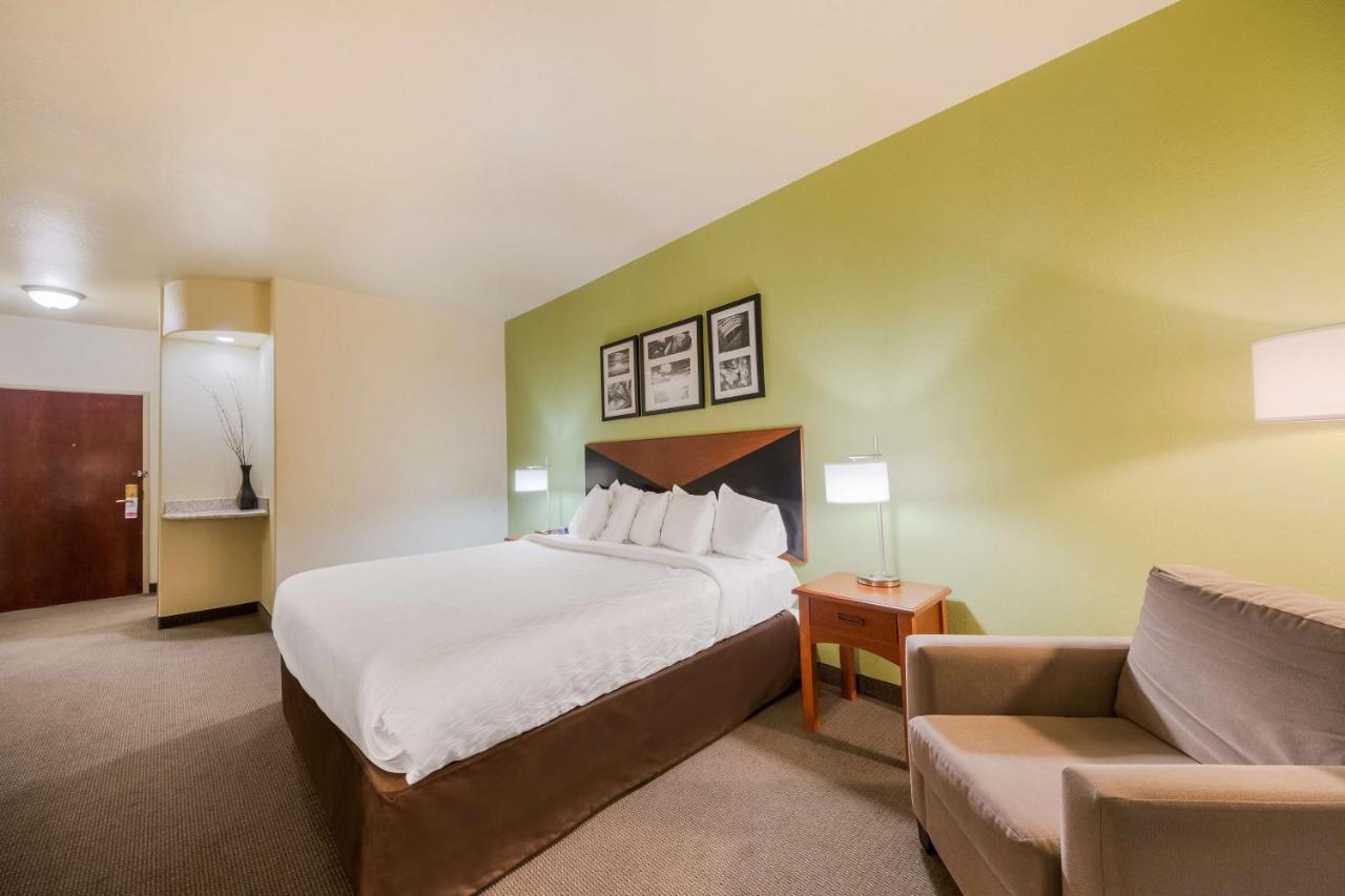 Surestay Plus Hotel By Best Western Near Seaworld Сан-Антонио Экстерьер фото